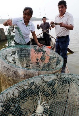 特色水产养殖带动农民致富